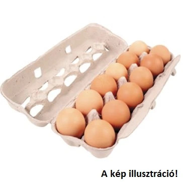 Házi Tojás L méretü (1 Doboz/10db)