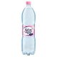 Natur Aqua 1,5l Mentes